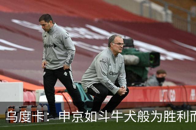 乌度卡：申京如斗牛犬般为胜利而战，不在乎个人得分